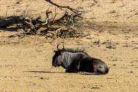 _namibia23ago2753_small.jpg
