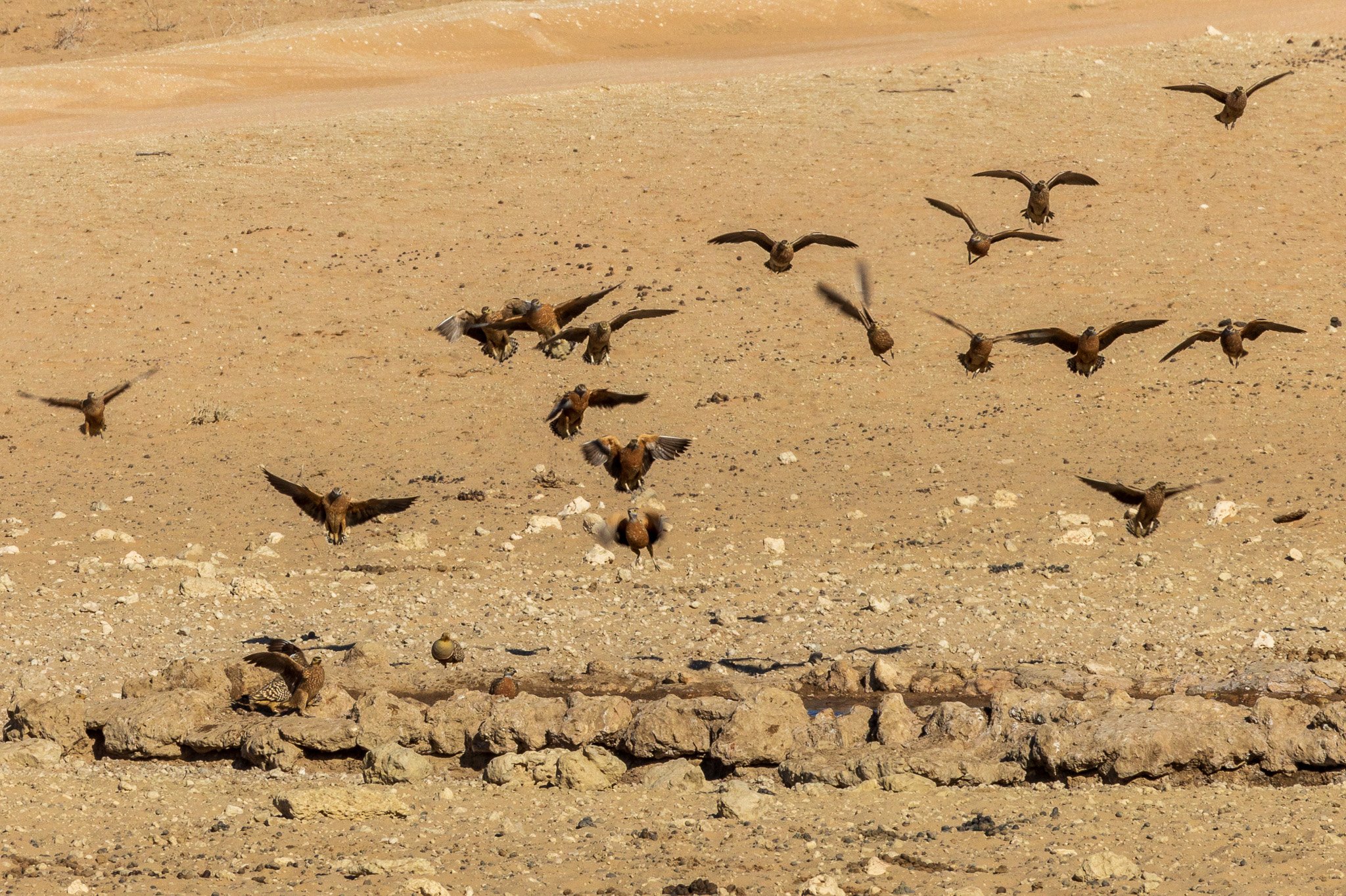 _namibia23ago2755.jpg