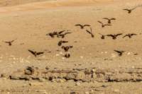 _namibia23ago2755_small.jpg