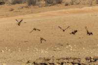 _namibia23ago2757_small.jpg