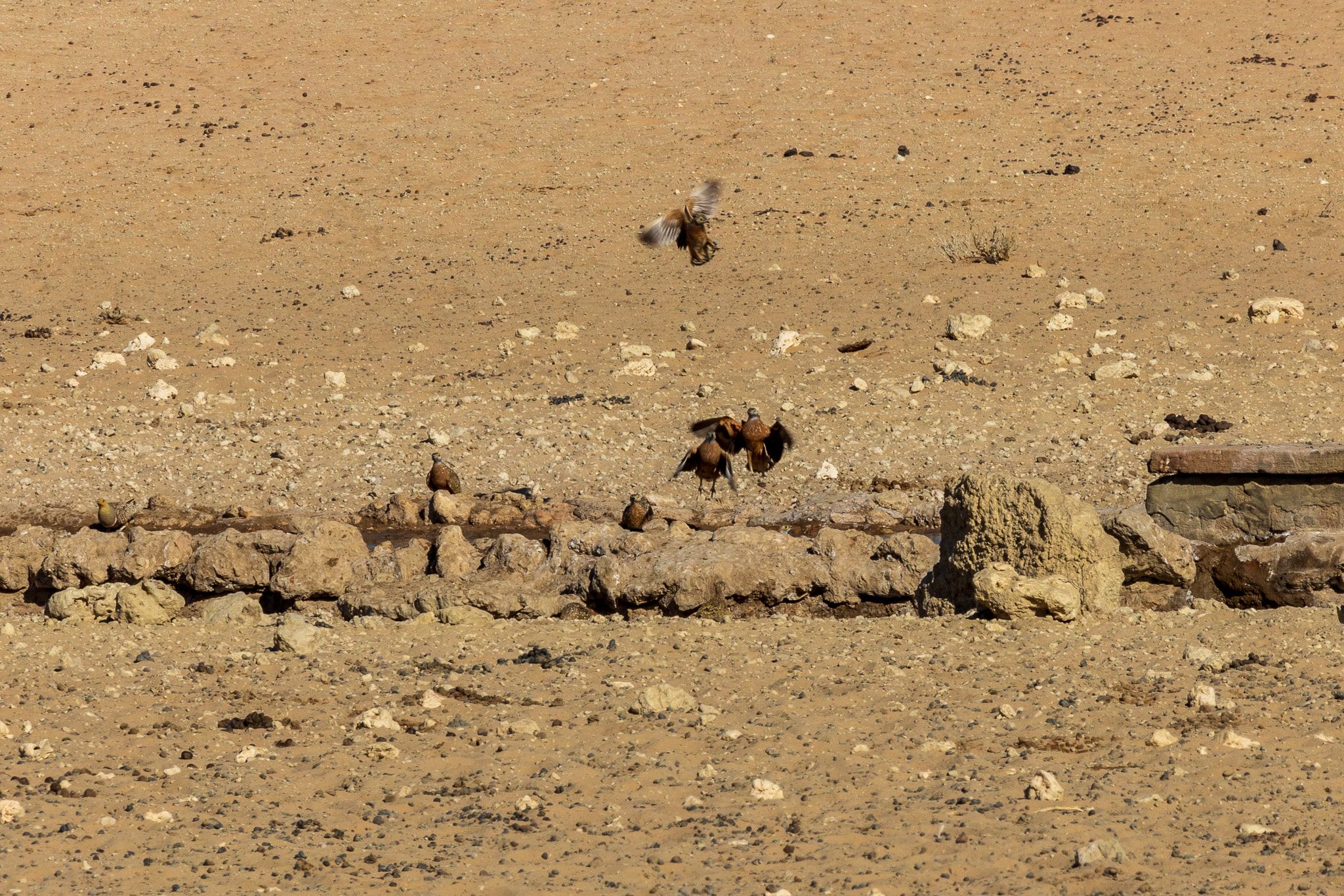 _namibia23ago2758.jpg