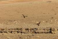 _namibia23ago2759_small.jpg
