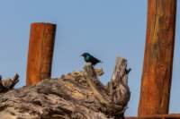 _namibia23ago2762_small.jpg