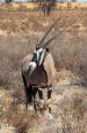 _namibia23ago2763_small.jpg