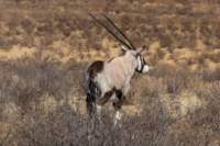 _namibia23ago2765_small.jpg