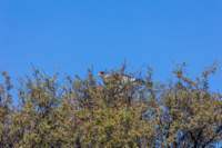 _namibia23ago2767_small.jpg