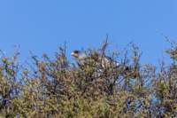 _namibia23ago2768_small.jpg
