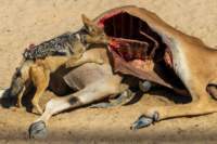 _namibia23ago2777_small.jpg