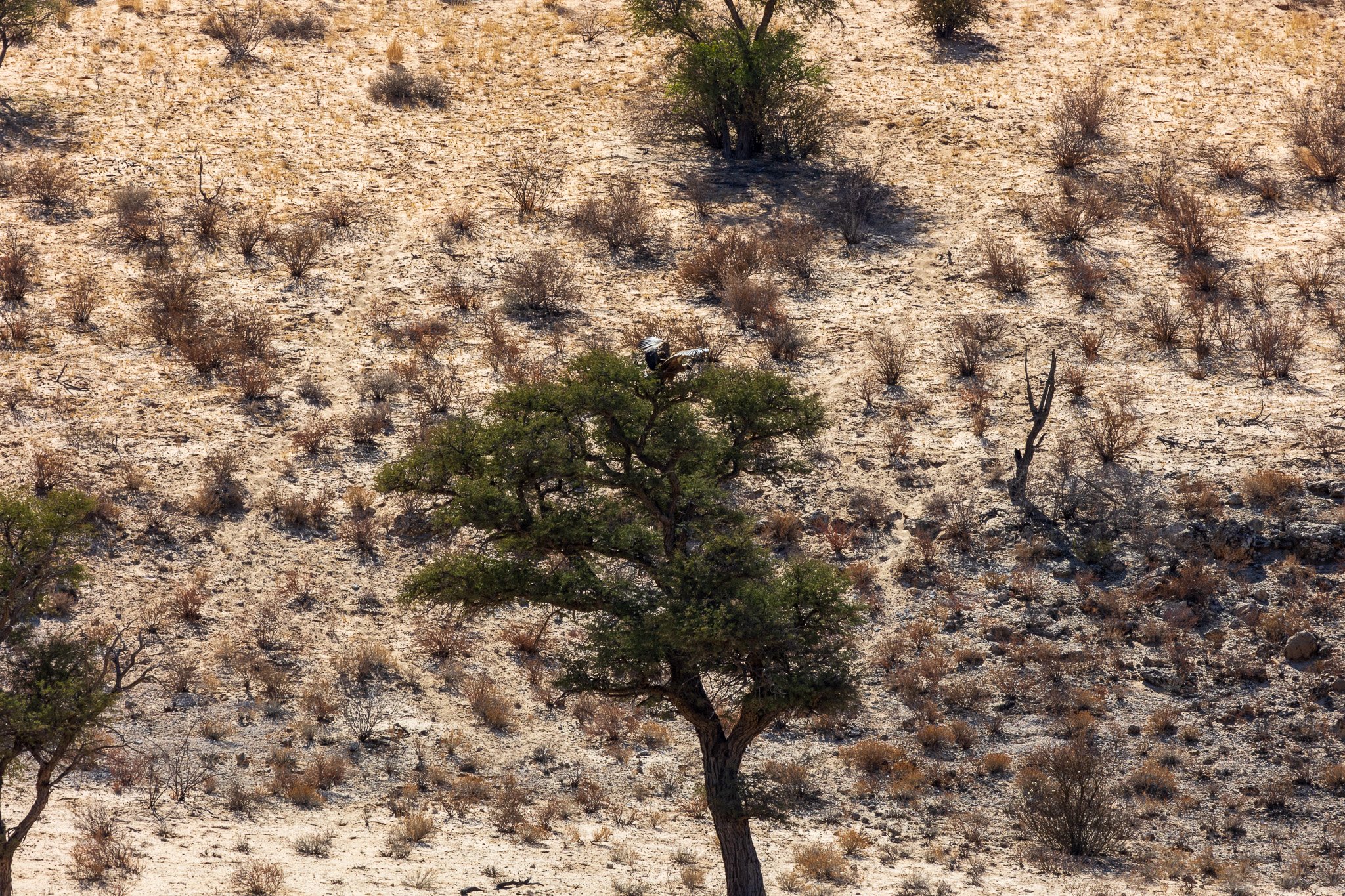 _namibia23ago2790.jpg