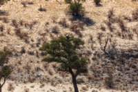 _namibia23ago2790_small.jpg