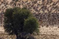 _namibia23ago2791_small.jpg