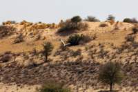 _namibia23ago2792_small.jpg