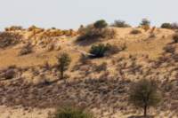_namibia23ago2793_small.jpg