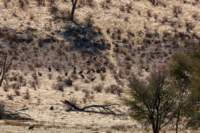 _namibia23ago2794_small.jpg