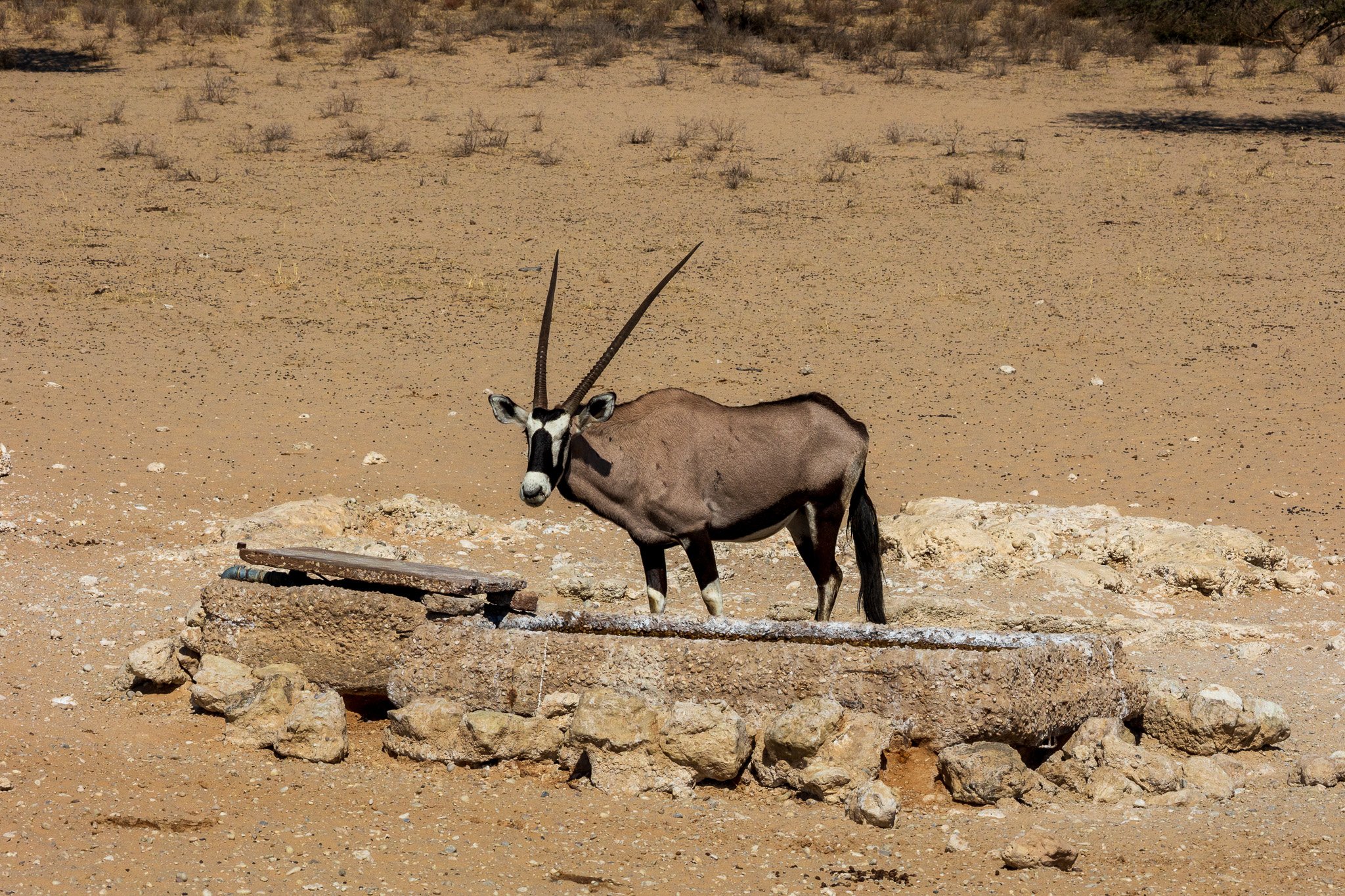 _namibia23ago2795.jpg