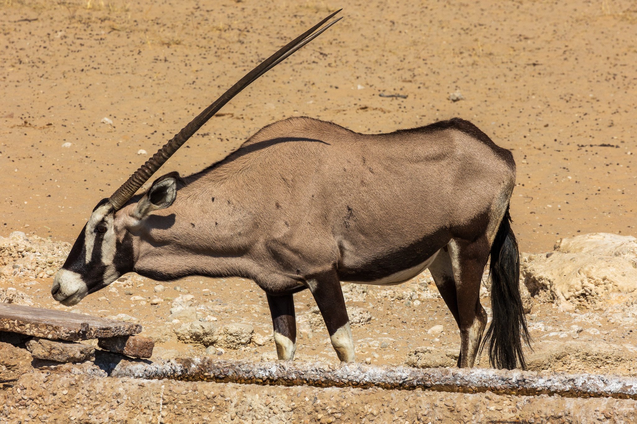 _namibia23ago2797.jpg