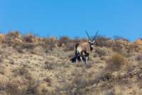 _namibia23ago27_small.jpg