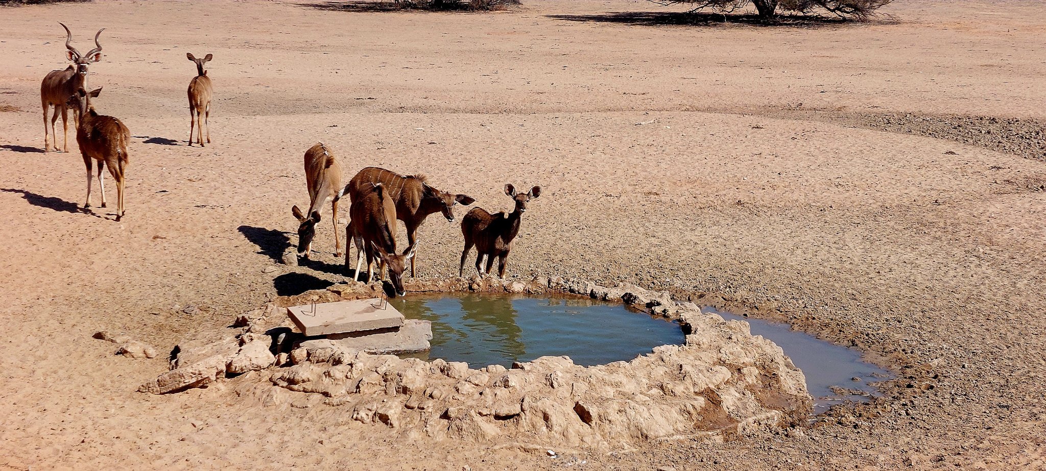 a_namibia23ago272.jpg