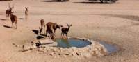 a_namibia23ago272_small.jpg