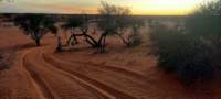 c_namibia23ago25_small.jpg