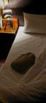 d_namibia23ago25_small.jpg