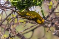 _namibia23ago2913_small.jpg
