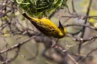 _namibia23ago2914_small.jpg