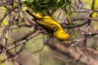 _namibia23ago2916_small.jpg