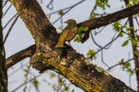 _namibia23ago2929_small.jpg