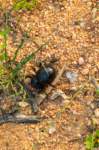 _namibia23ago2944_small.jpg
