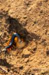 _namibia23ago2945_small.jpg