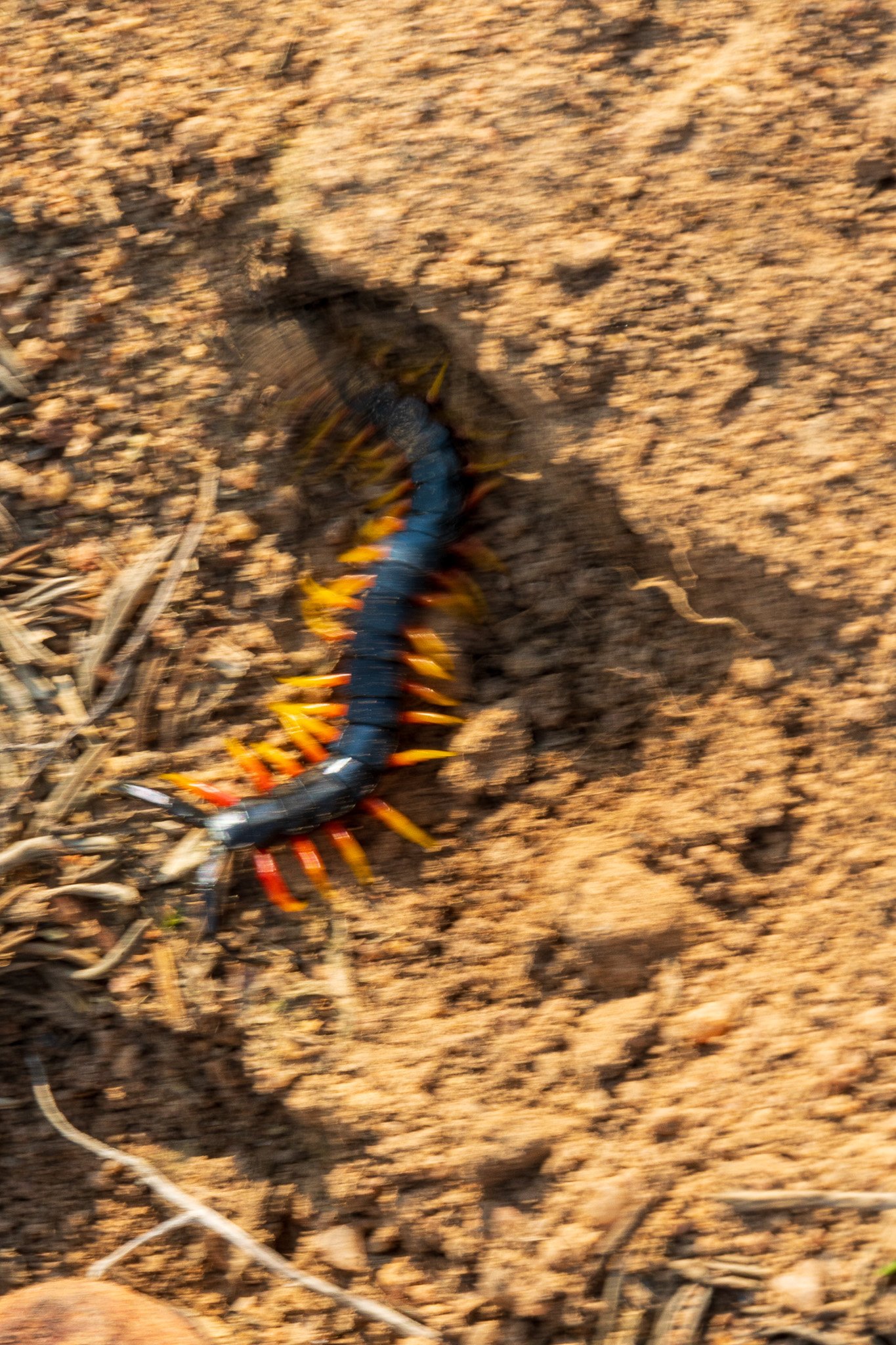 _namibia23ago2946.jpg