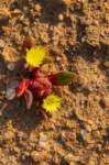 _namibia23ago2947_small.jpg