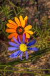 _namibia23ago2951_small.jpg