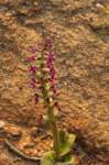 _namibia23ago2957_small.jpg