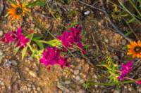 _namibia23ago2959_small.jpg