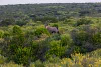 _namibia23ago2963_small.jpg