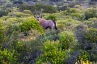 _namibia23ago2964_small.jpg