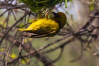 _namibia23ago296_small.jpg