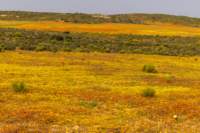 _namibia23ago3011_small.jpg