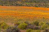 _namibia23ago3012_small.jpg