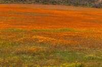 _namibia23ago3013_small.jpg