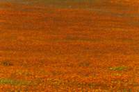 _namibia23ago3014_small.jpg