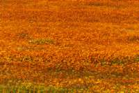 _namibia23ago3015_small.jpg