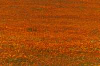 _namibia23ago3016_small.jpg
