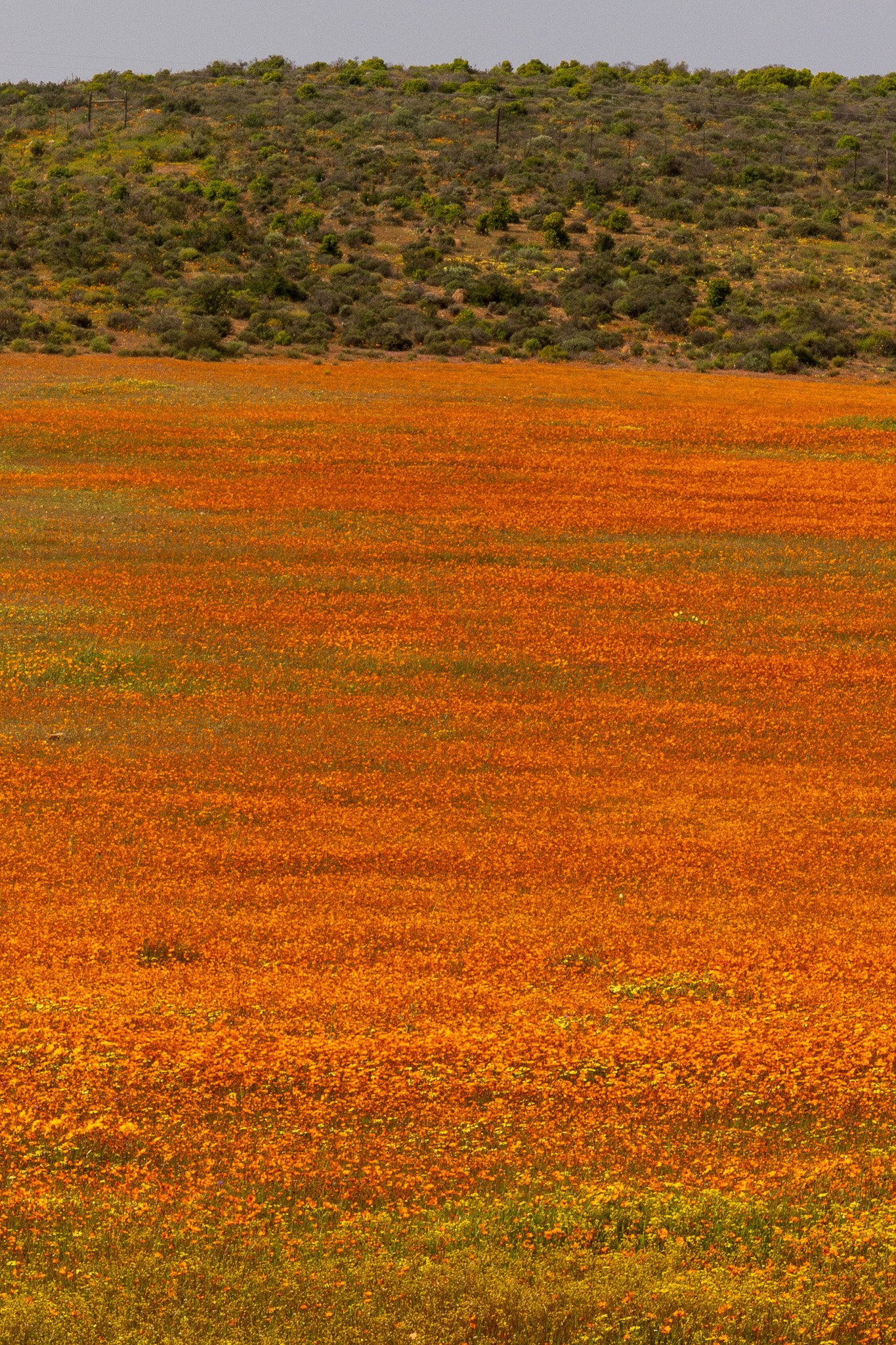 _namibia23ago3017.jpg