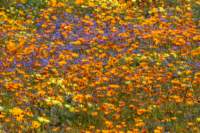 _namibia23ago3022_small.jpg