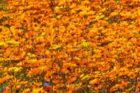 _namibia23ago3027_small.jpg