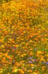 _namibia23ago3029_small.jpg