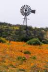 _namibia23ago3032_small.jpg